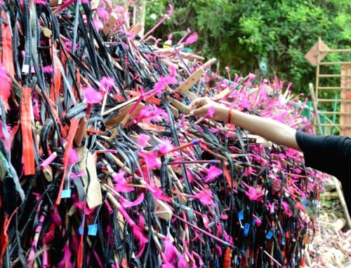 ശ്രീ ശബരിമല മണികണ്ഠ ധര്മ്മ ശാസ്താവ് ശരണം ಶ್ರೀ ಶಬರಿಮಲೆ ಮಣಿಕಂಠ ಧರ್ಮ ಶಾಸ್ತಾ ಶರಣಂ 